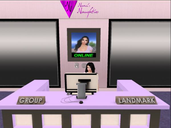 The new main counter at Nanci's Naughties