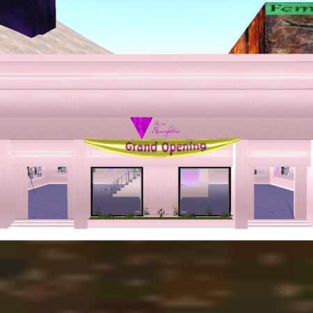 The new Nanci's Naughties store is officially open!
