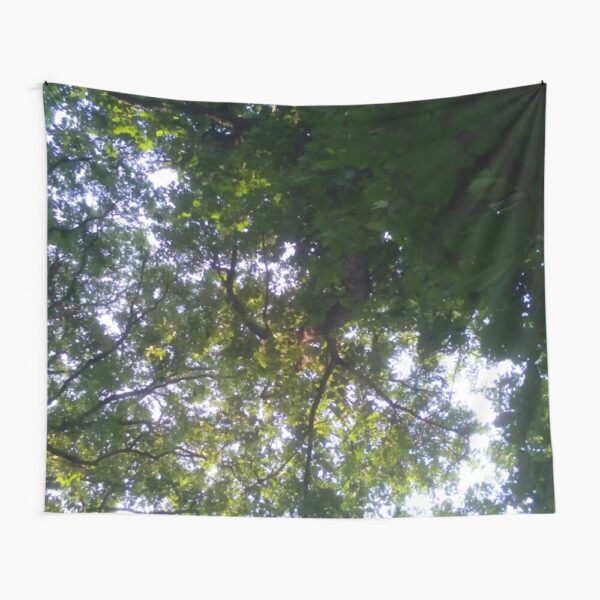 Franklin Park Boston Wilderness - Overhead View Tapestry